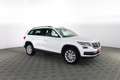 Skoda Kodiaq Kodiaq 2.0 TDI 4x4 Executive Weiß - thumbnail 2