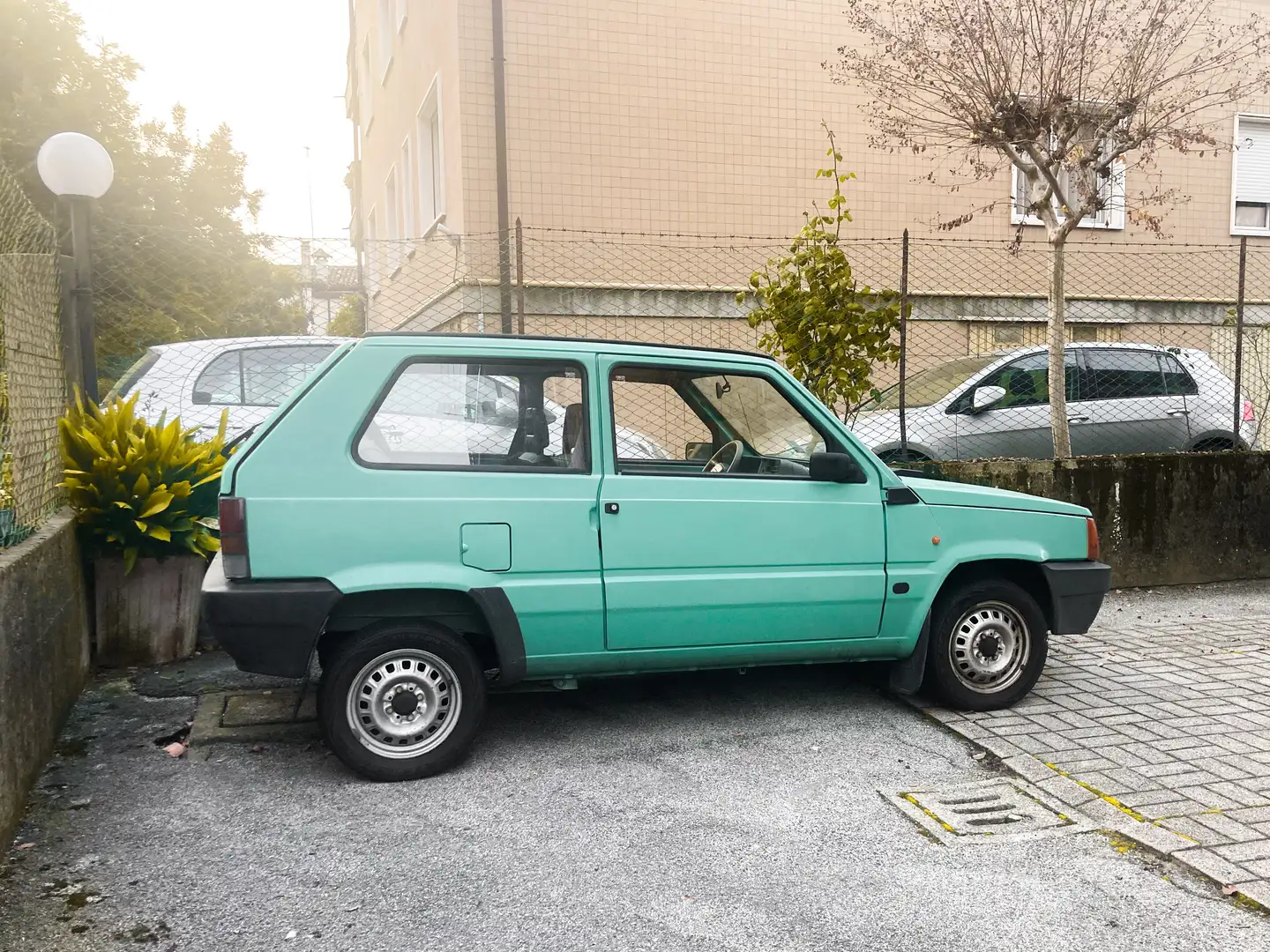 Fiat Panda 1.1 Young - 1