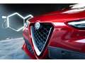 Alfa Romeo Stelvio Quadrifoglio Quadrifoglio 510CV Full options Rot - thumbnail 5