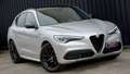 Alfa Romeo Stelvio 2.2 t Veloce Ti Q4 210cv auto * DOPPIO TETTO * Grigio - thumbnail 2