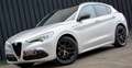 Alfa Romeo Stelvio 2.2 t Veloce Ti Q4 210cv auto * DOPPIO TETTO * Grigio - thumbnail 1