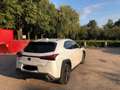 Lexus UX 250h UX 250h 2WD Luxe Blanc - thumbnail 9