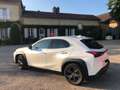 Lexus UX 250h UX 250h 2WD Luxe Blanc - thumbnail 4
