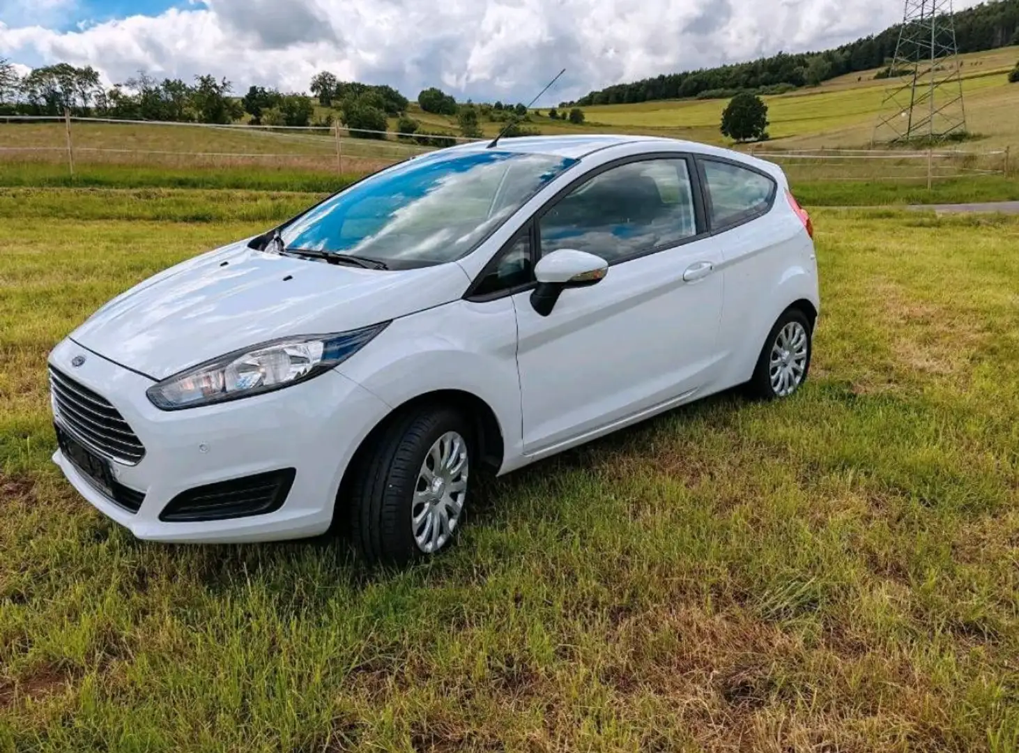 Ford Fiesta Courier Family Weiß - 1