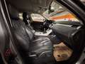 Land Rover Range Rover Evoque Pure 2,2 SD4*BI-XENON*NAVI*PDC* Grau - thumbnail 7
