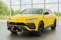 Lamborghini Urus | AKRAPOVIC| 23 ZOLL TAIGETE |PANO B&O Q-CI Jaune - thumbnail 1