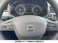 SEAT Ibiza 1.0 MPI Reference SHZ RADIO KLIMA ZV PDC Grau - thumbnail 20