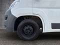 Citroen Jumper 33 L2H2 Live Blue-HDi 130 9-Sitzer Weiß - thumbnail 18
