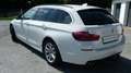 BMW 525 d xDrive Touring Aut. *AHK*PANORAMADACH* Білий - thumbnail 9