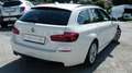 BMW 525 d xDrive Touring Aut. *AHK*PANORAMADACH* Білий - thumbnail 8