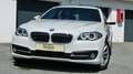 BMW 525 d xDrive Touring Aut. *AHK*PANORAMADACH* Білий - thumbnail 6