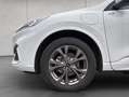 Ford Kuga ST-LINE 2.5 Duratec PHEV NAVI+LED+AHK+SHZ+PDC Weiß - thumbnail 24