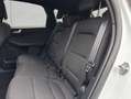 Ford Kuga ST-LINE 2.5 Duratec PHEV NAVI+LED+AHK+SHZ+PDC Weiß - thumbnail 20