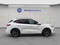 Ford Kuga ST-LINE 2.5 Duratec PHEV NAVI+LED+AHK+SHZ+PDC Weiß - thumbnail 9