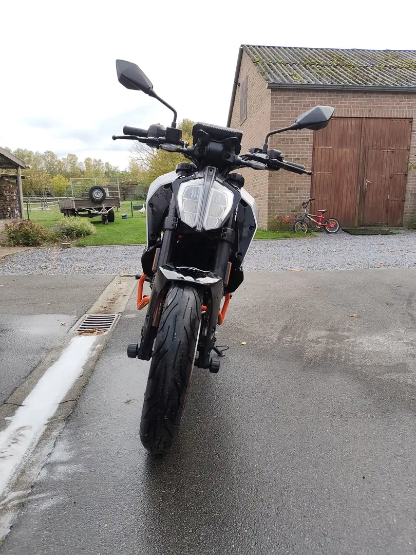 KTM 390 Duke Gris - 2