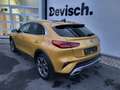Kia XCeed XCeed 1.4 T-GDI OPF DCT7 VISION Gold - thumbnail 6