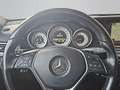 Mercedes-Benz E 220 E -Klasse T-Modell E 220 BlueTEC/LED/Tempo Grijs - thumbnail 14