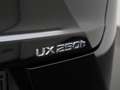 Lexus UX 250h Business Line | Winter pakket | Camera | Adaptive - thumbnail 23