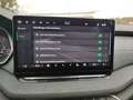 Skoda Octavia 1.5 TSI mHEV DSG Matrix/AHK/360°Kamera Schwarz - thumbnail 19