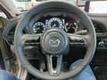 Mazda CX-30 2.0 e-Skyactiv-G Nagisa FWD 110kW - thumbnail 19