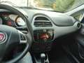 Fiat Punto Active Blau - thumbnail 8