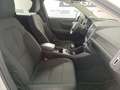 Volvo XC40 D3 Alb - thumbnail 14