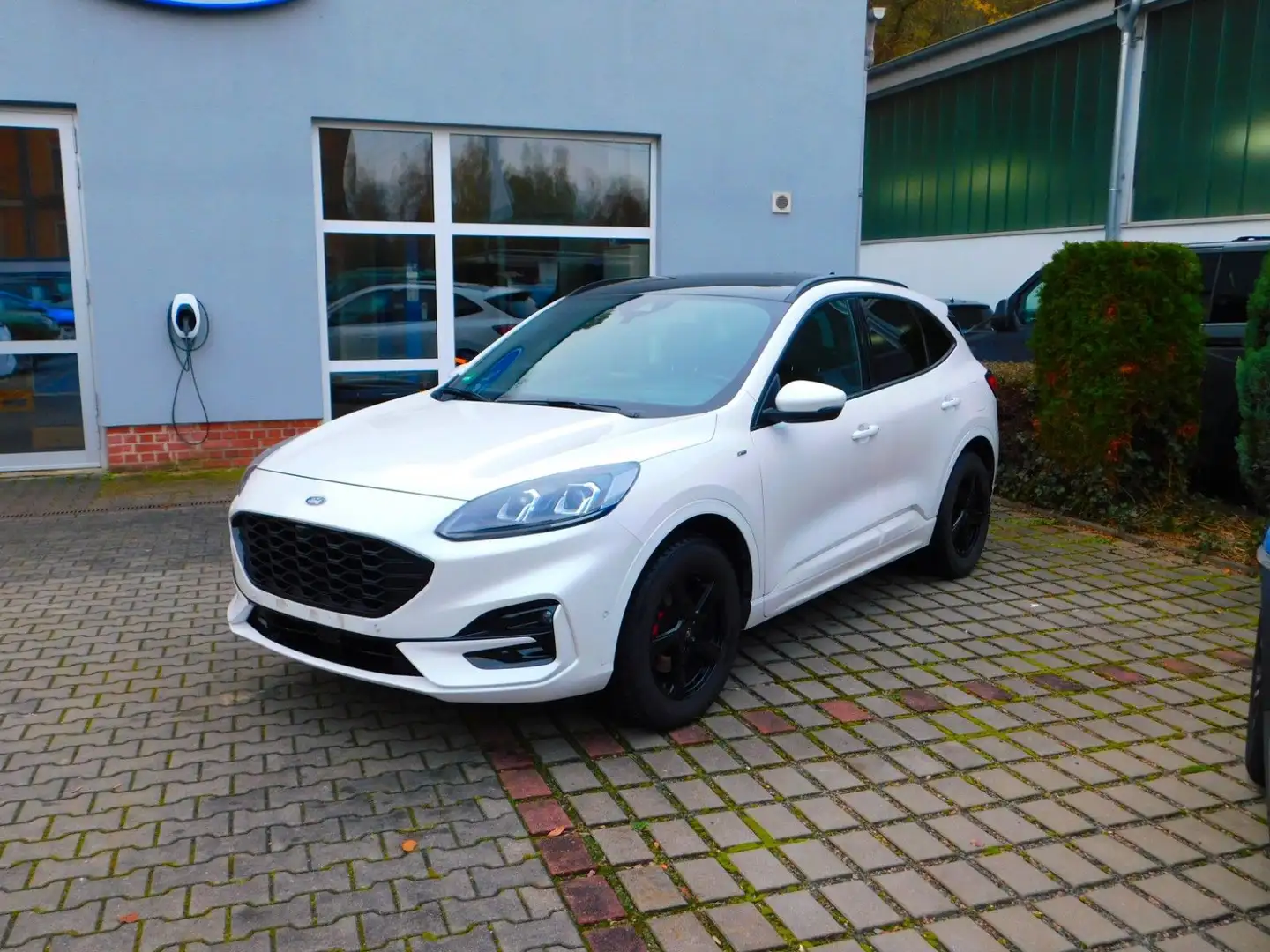 Ford Kuga ST-Line X,4X4, Standheizung  , Blanc - 1