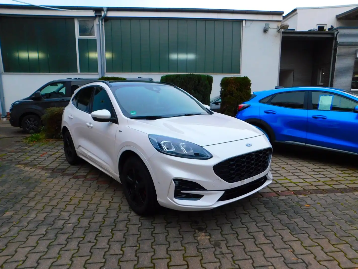 Ford Kuga ST-Line X,4X4, Standheizung  , Blanc - 2