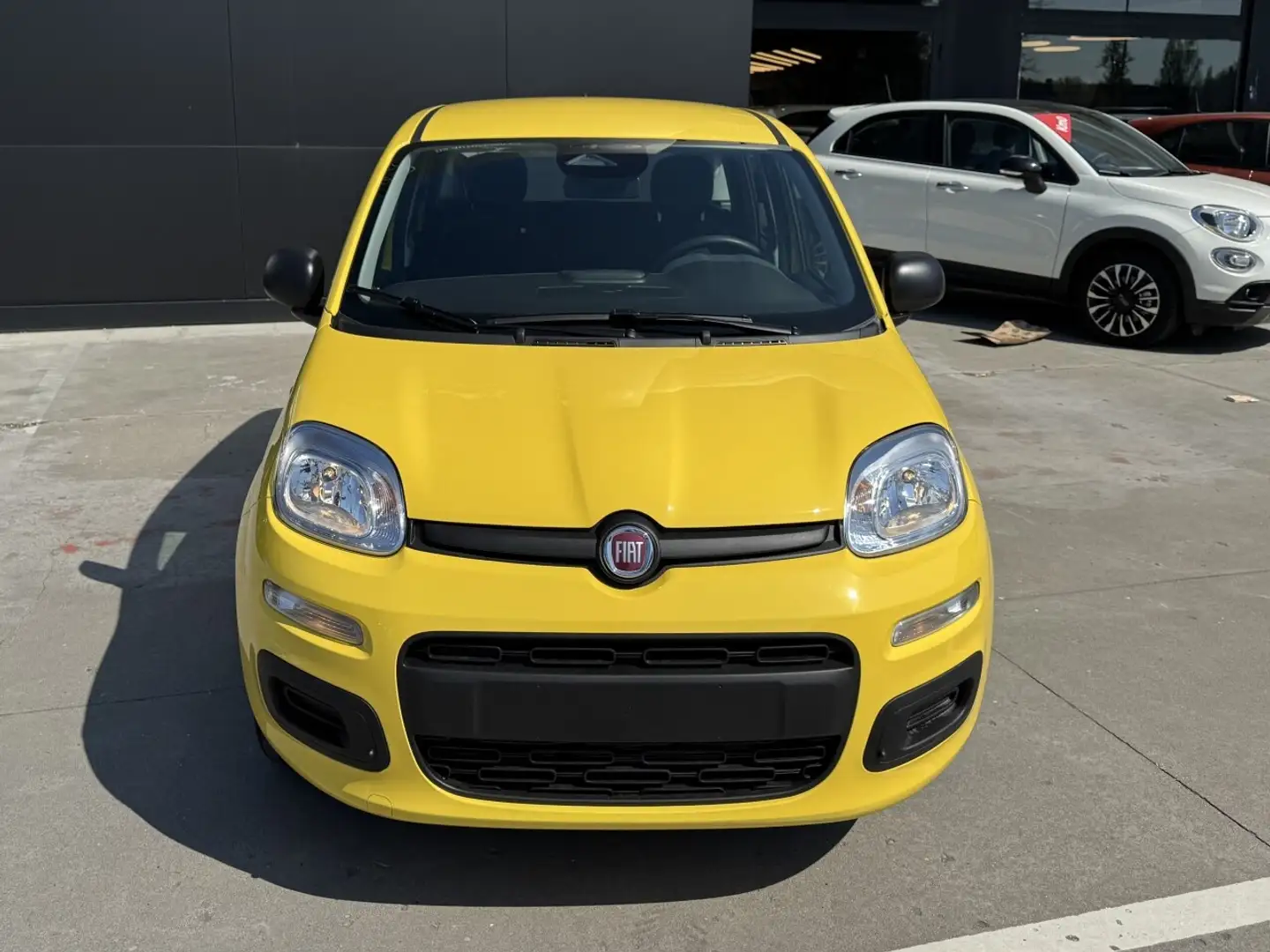 Fiat Panda My25 1.0 70cv Hybrid Panda Жовтий - 2