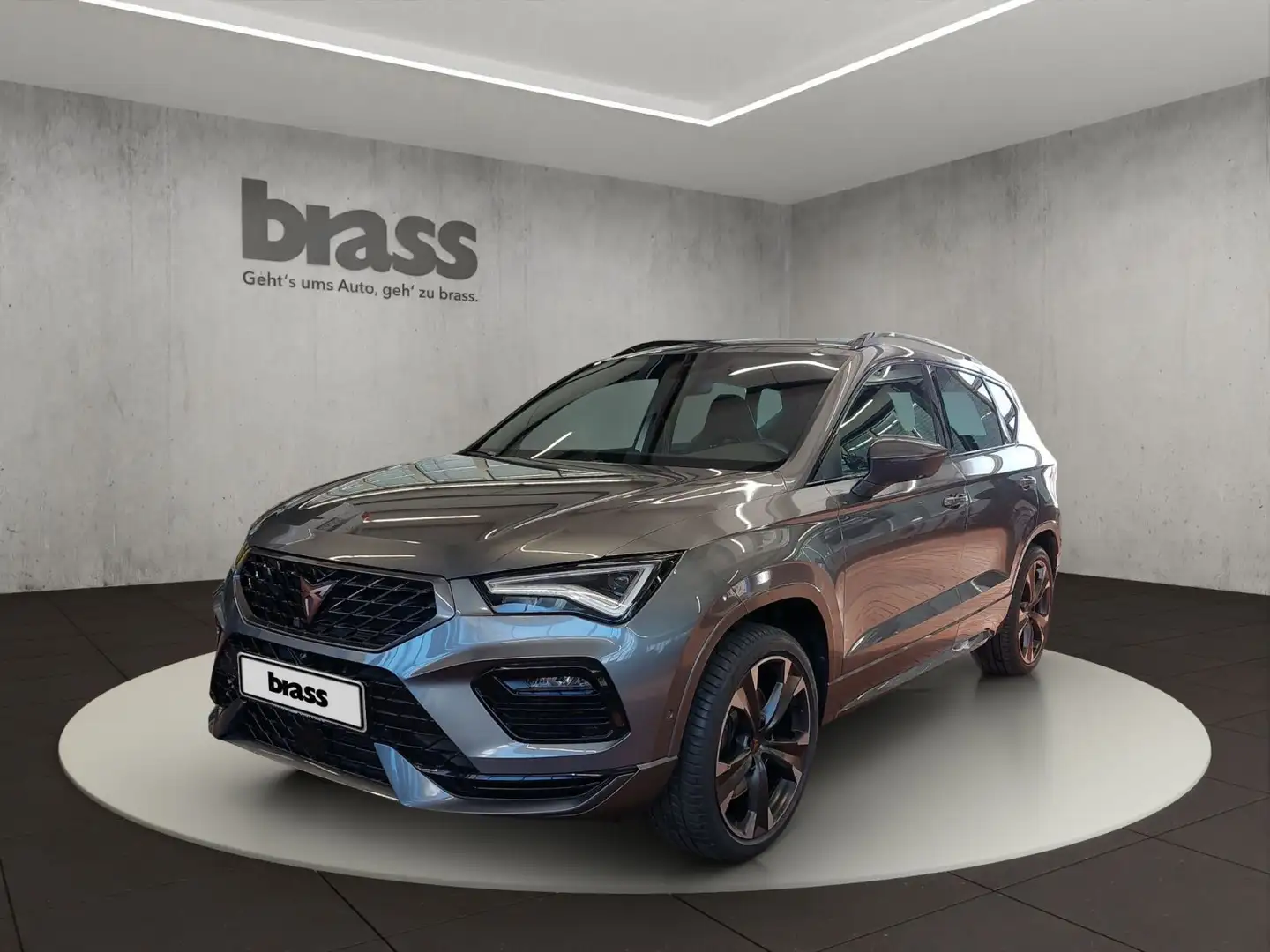 CUPRA Ateca 2.0 TSI 4Drive OPF Grau - 1