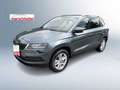 Skoda Karoq 4x4 Style SC TDI DSG Grau - thumbnail 1