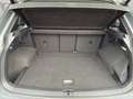 Volkswagen Tiguan R-Line 2.0 TDI DSG IQ.LIGHT BLACK STYLE N Grau - thumbnail 15