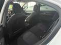 Alfa Romeo Stelvio Stelvio 2.2 t Business Q4 180cv auto Bianco - thumbnail 26
