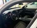Alfa Romeo Stelvio Stelvio 2.2 t Business Q4 180cv auto Bianco - thumbnail 14
