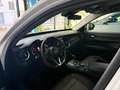 Alfa Romeo Stelvio Stelvio 2.2 t Business Q4 180cv auto Bianco - thumbnail 15