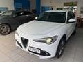 Alfa Romeo Stelvio Stelvio 2.2 t Business Q4 180cv auto Bianco - thumbnail 2