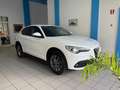 Alfa Romeo Stelvio Stelvio 2.2 t Business Q4 180cv auto Bianco - thumbnail 8