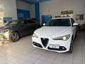 Alfa Romeo Stelvio Stelvio 2.2 t Business Q4 180cv auto Bianco - thumbnail 6