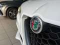 Alfa Romeo Stelvio Stelvio 2.2 t Business Q4 180cv auto Bianco - thumbnail 31