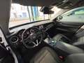 Alfa Romeo Stelvio Stelvio 2.2 t Business Q4 180cv auto Bianco - thumbnail 16