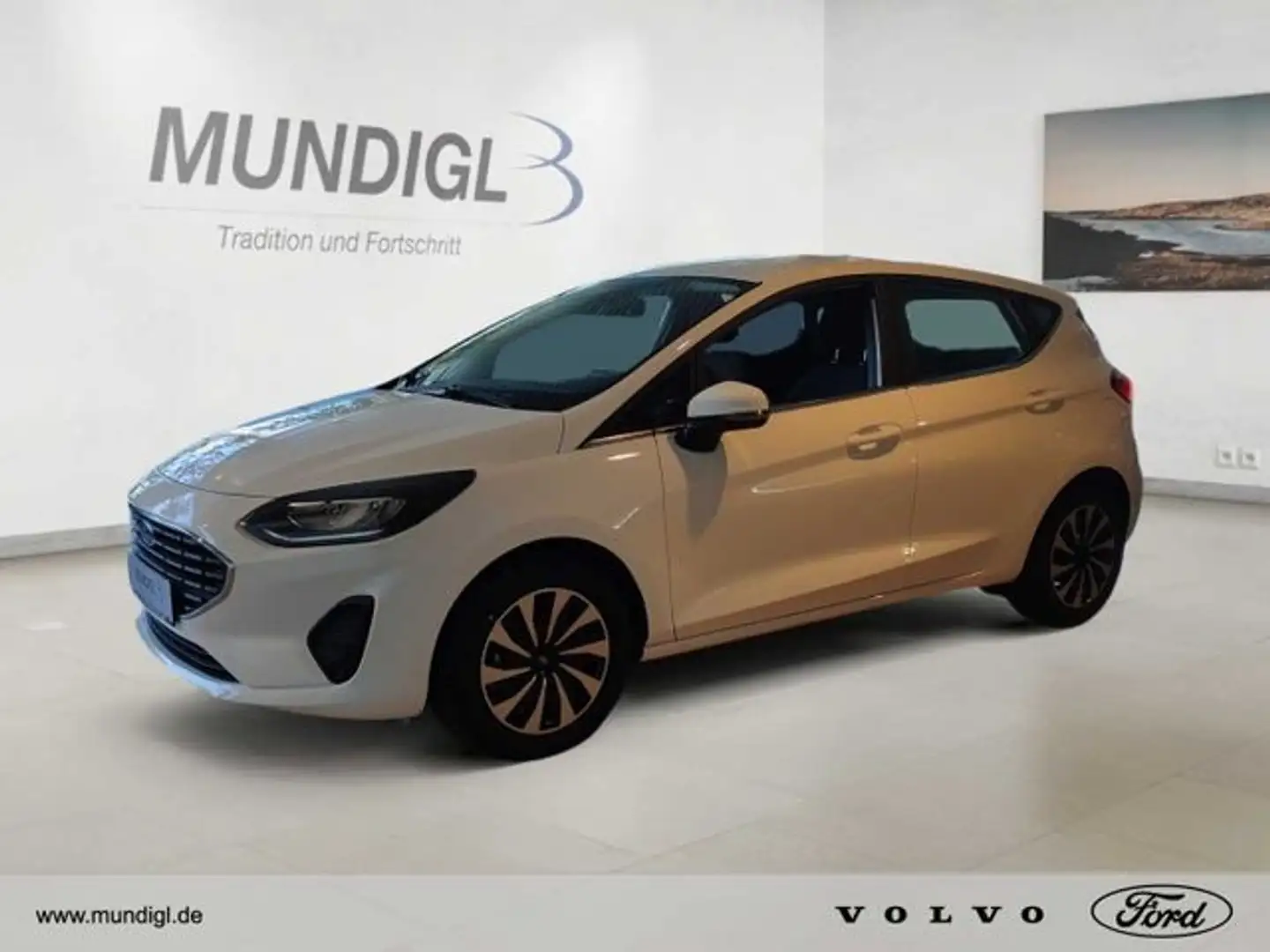 Ford Fiesta MHEV Titanium Autom.,FSH,Klimaaut.,LED,LR Bílá - 1
