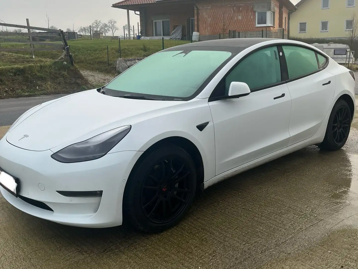 Tesla Model 3 Model 3 Long Range AWD 75kWh 8-fach bereift Weiß - 2