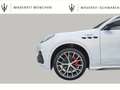 Maserati Grecale Trofeo MY26/ Klimapaket/360°/Sonus Faber Silber - thumbnail 12