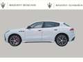Maserati Grecale Trofeo MY26/ Klimapaket/360°/Sonus Faber Silber - thumbnail 3