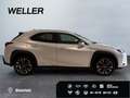 Lexus UX 250h Style Edition *Bi-LED*ACC*CAM*SHZ*CarPlay* Wit - thumbnail 10