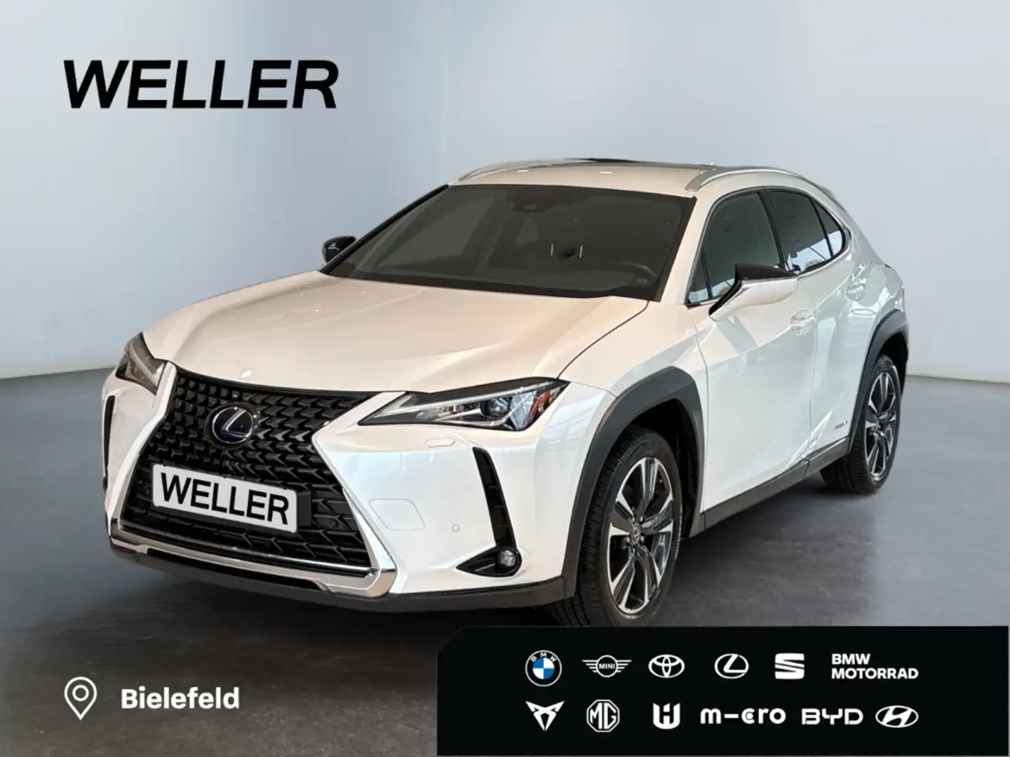 Lexus UX 250h Style Edition *Bi-LED*ACC*CAM*SHZ*CarPlay* Wit - 1