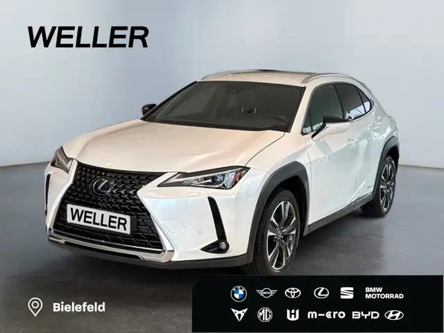 Lexus UX 250h Style Edition *Bi-LED*ACC*CAM*SHZ*CarPlay*