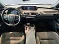 Lexus UX 250h Style Edition *Bi-LED*ACC*CAM*SHZ*CarPlay* Wit - thumbnail 12