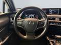 Lexus UX 250h Style Edition *Bi-LED*ACC*CAM*SHZ*CarPlay* Wit - thumbnail 13
