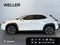 Lexus UX 250h Style Edition *Bi-LED*ACC*CAM*SHZ*CarPlay* Wit - thumbnail 5
